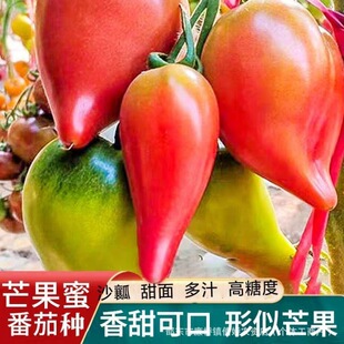 ����â���۷��ѷN�Ӵ��＾��ˮ���߲������Թ�ζɳȿ�����t���N��