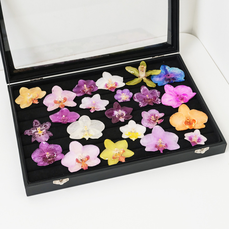 Phalaenopsis Glue DIY Earrings Material Real Flower Butterfly Orchid Head Super Fairy Jewelry Corsage Accessories