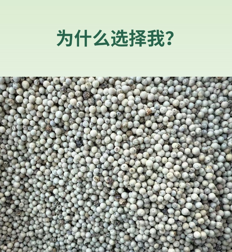 White Pepper Whole and Ground 500g Bai Hu Jiao for Soup Seasoning and Everyday Cooking key features