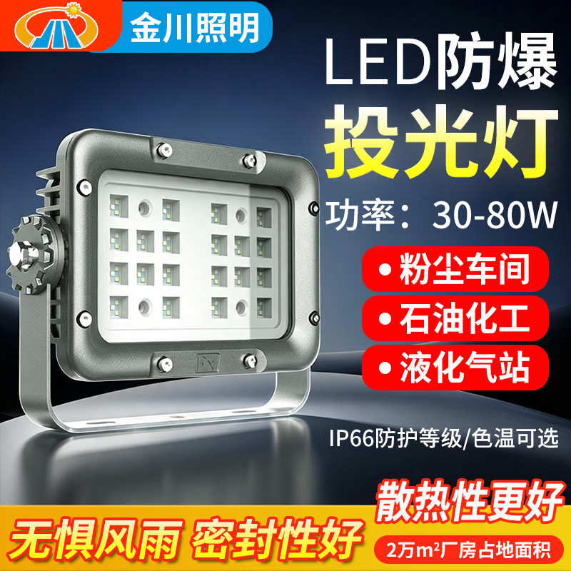GCD81LED防爆投光灯30-80W加油站投光灯仓库防水防腐投光灯厂家产品实拍图