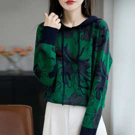 秋冬连帽羊毛衫女帽衫长袖宽松显瘦上衣打底衫套头毛衣