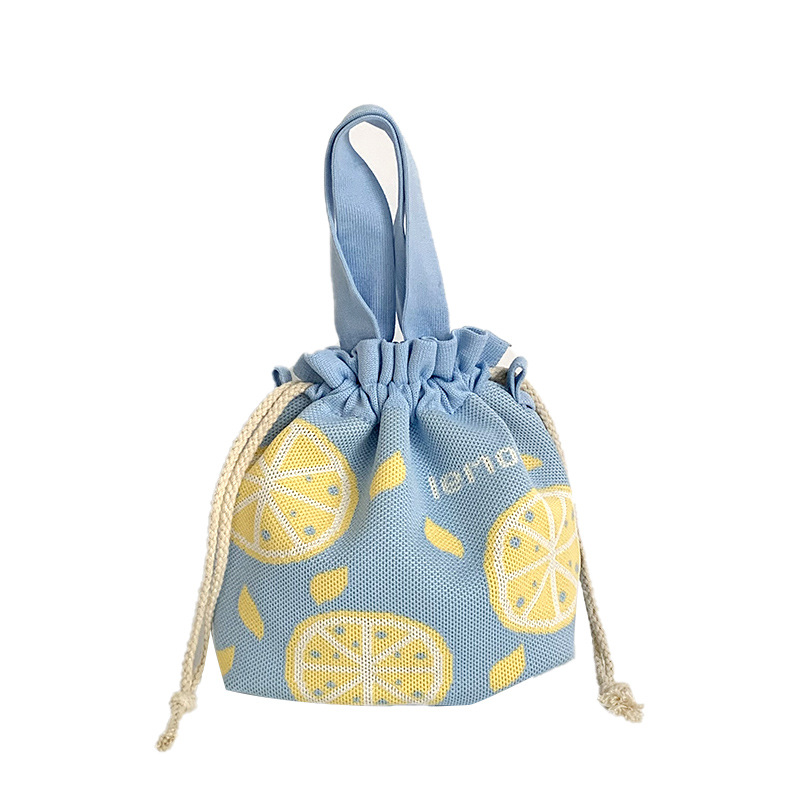 Bolsa de mano de mujer, nueva bolsa de regalo de vacaciones de gran capacidad, bolsa de tejido portátil, bolsa de cubo, bolsa de almuerzo, bolsa de mochila