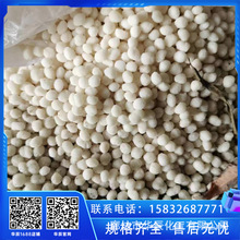 �е��d¡�h������ѩ�� ��·�C����ѩ���� �S�����l����