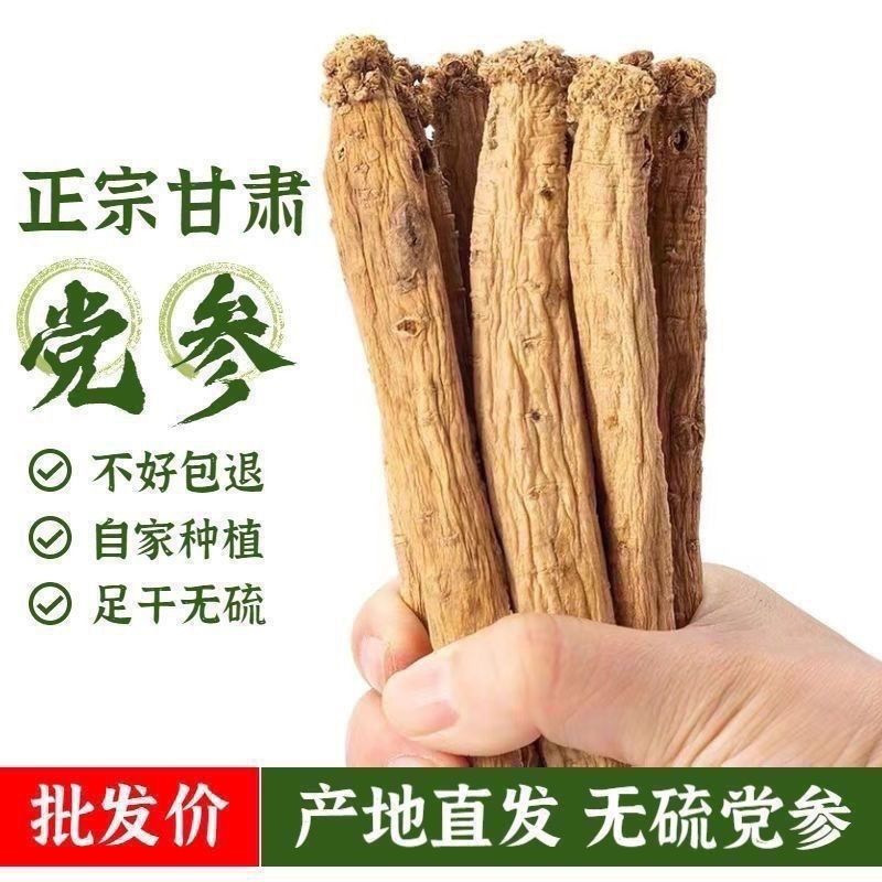 Gansu-Origin Codonopsis Root, New Stock, Sulfur-Free, Sun-Dried, Authentic Selected Chinese Medicinal Herb, Medium-Sized Codonopsis Root detail image