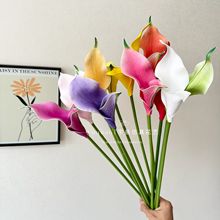 �p�^�����R��ɏEVA�ָи�Ʒ�|�ҾӔzӰ�����bٻ���c��ˇ�쾰