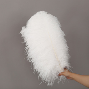 ��ɫ��ֻ�r�Bë�֗U45-50 CM��̨��Y�҃����b��b���乤�Sֱ�N