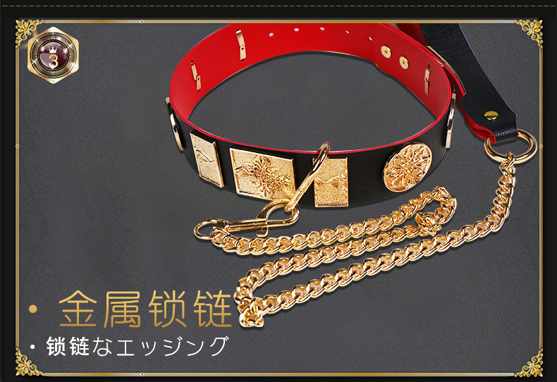 Metal and Leather Collar with Flying Fish Chain for Adult Bondage Restraint Play — detail image 9
