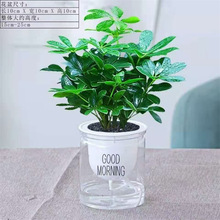 �d�ӻ��簲�������ԾGֲ�������򻨾G�}������lؔ����m�҃��ļ�