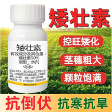 矮壮素矮化剂花卉果树多肉花生玉米控旺控徒长农用植物生长调节剂