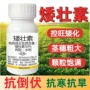 生长多肉农用植物矮壮素