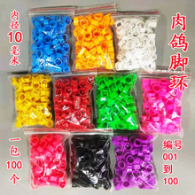 Reh_ڿh֭hӛ̖hȏ_h10h