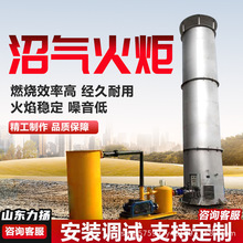 力扬供应沼气罐沼气成套净化设备沼气燃烧脱硫火炬沼气储气柜环保