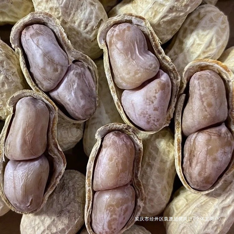 New Stock of Boiled Peanuts, Sun-Dried Peanuts, Original Flavor, with Shells, Garlic-Flavored, Five-Flavor Boiled Peanuts, Sun-Dried Sunflower Seeds, Peanuts