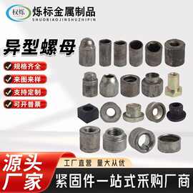 异型螺母六角螺母四方螺母防松螺母焊接螺母法兰螺母