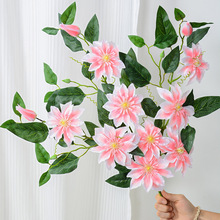 ���淨���ذ���F��ɏ���滨�ļҾӻ�c��ٻ��[���b��������l