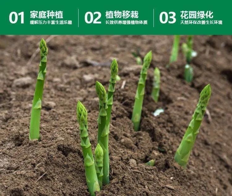 0191d048-e61e-4232-9d5f-08969beff649.jpe