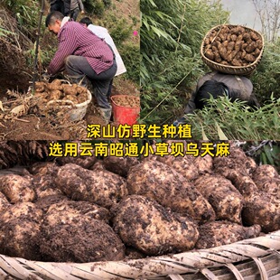 �����ؼ������ͨС�݉η�Ұ��������ș��˯�ߞ��t�ӹ����l�r����