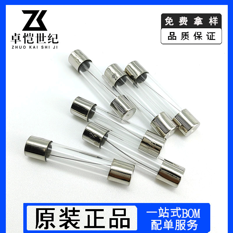 6*30mm glass fuse 250V