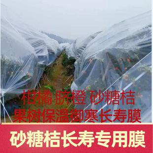 Thickened Wind-Resistant Citrus Sugar Orange Anti-Frost Oil Paper Shandong Cold-Proof Film Cloth Is Breathable and Does Not Burn Fruits