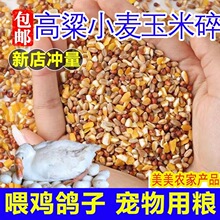 鸽子粮高梁麦子玉米碎混合喂鸽子粮喂鸡喂鸡鸭鹅饲料鸡兔仓鼠粮食