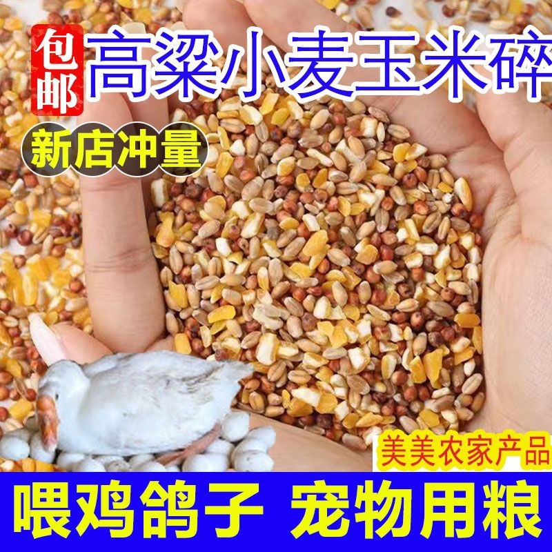 鸽子粮高梁麦子玉米碎混合喂鸽子粮喂鸡喂鸡鸭鹅饲料鸡兔仓鼠粮食
