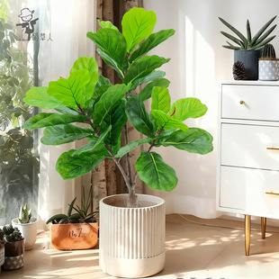 �߶��p�ݷ���Gֲ���~�Ÿ߼��п͏d�b��҃ȴ������Լ٘����ֲ��