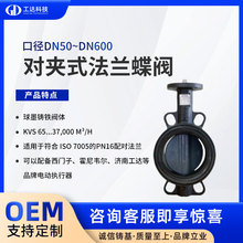 �����綯��������ִ���������װ PN16���� ����Ƽ�