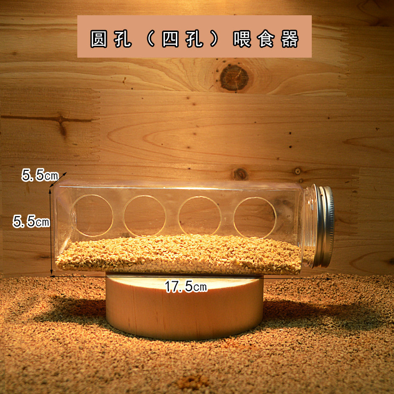 圆孔【四孔】喂食器♜✦