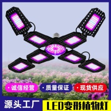 �羳����led����ֲ����۵���ֲֲ���������ڶ���������ܲ����