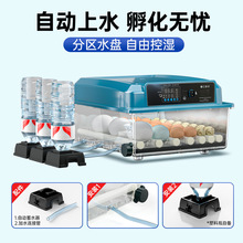 孵化器下单前咨询【备注插头规格/电压/说明书/水瓶】