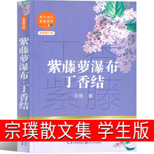 紫藤萝瀑布 丁香结 宗璞散文集37篇六年级上册小学生课外书正版