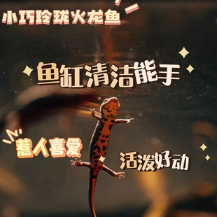 -��ˮС�������B��������^�p�~������~���w���ǿ����~����ˮ�\-