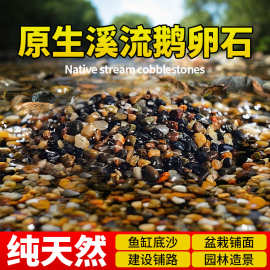 天然溪流石鱼缸水族箱专用铺底砂装饰天然鹅卵石原石地暖回填豆石