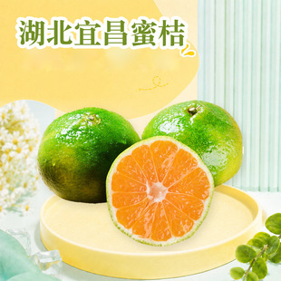 �����˲��۽� ���l���l3/5/9��50-60mm�����������rʳ�����rˮ��