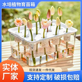 鱼缸;收纳盒;猫猫窝/笼/垫