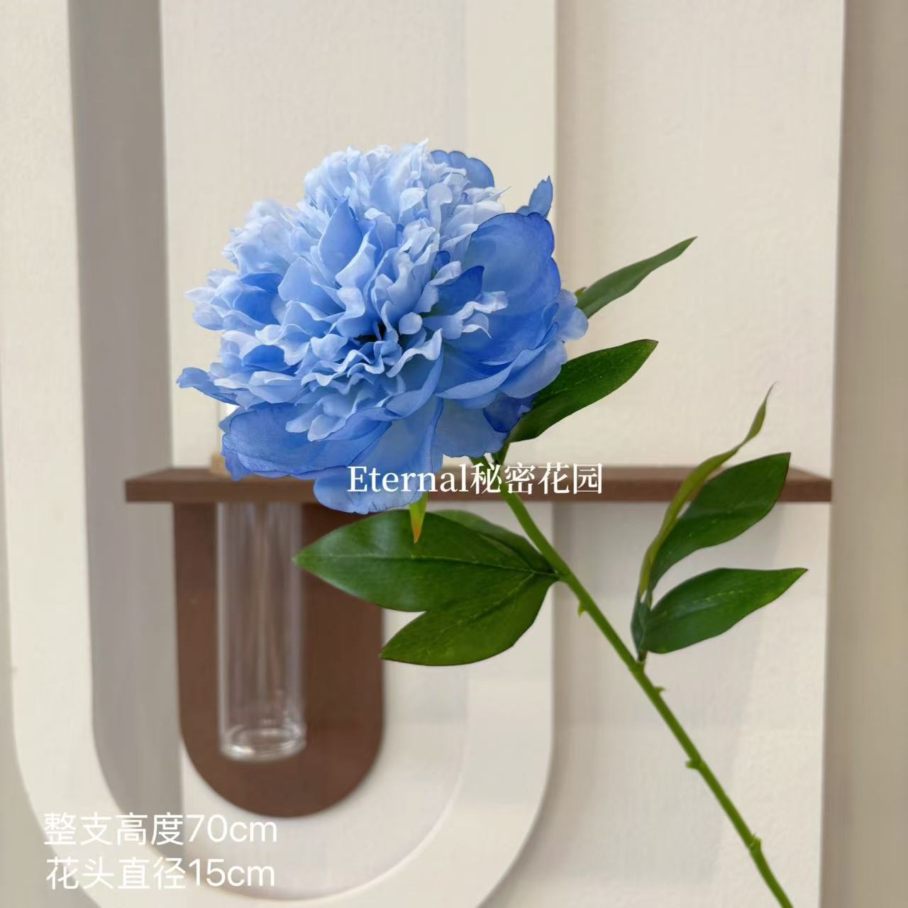 단일 모란