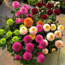 ƹҾջNױļ_Сr׷N҃⻨ԻN