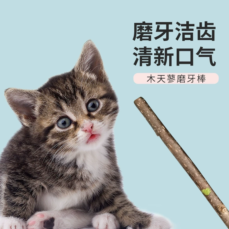 Капсулы Cat Polygonum Чистка зубов и шлифовальная палочка Самовосстанавливающиеся и кусательные закуски Кошачья мята Игрушка для кошек Кошачья палочка Товары для кошек
