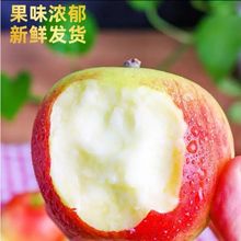 山西2023年红旮旯苹果脆甜纯甜多汁现摘现发净果5斤保质保量坏果