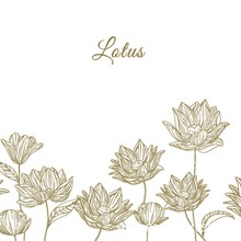 ¿ݱ֭yNФDNWtСinsLlɌ