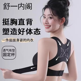 �C���{���o�ۃ���Ů�۔n���´��C���ˑB�\��������������ͬ���