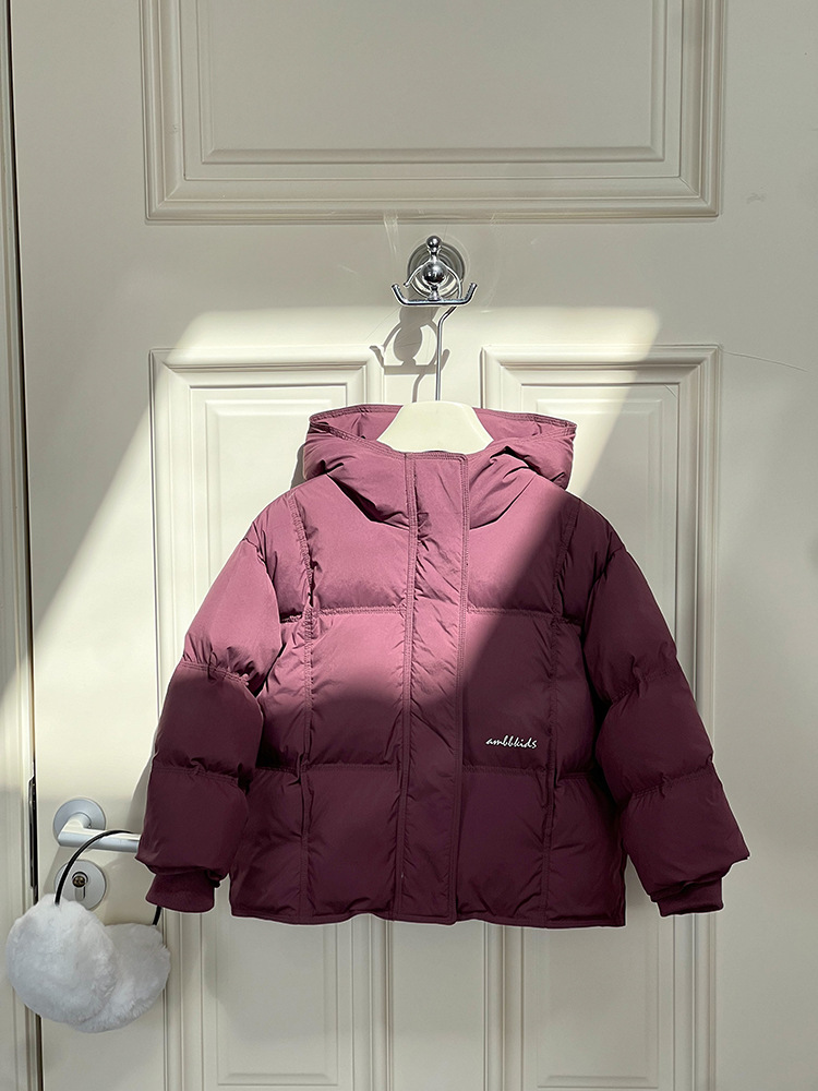 2024-11-08 113535.jpg