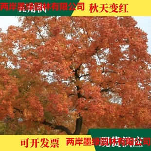 ���l��Ǘ���N�� ��ɫ���� ���֘�N�� �ͺ��n����N����
