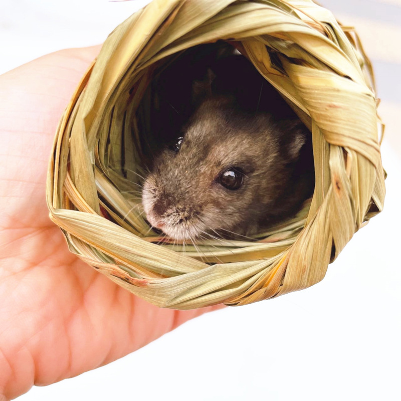 草直通 (9)_副本.jpg