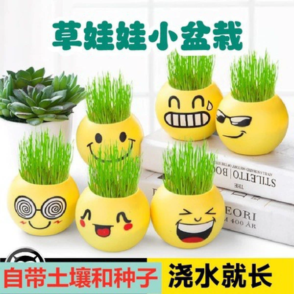 8 expression pots