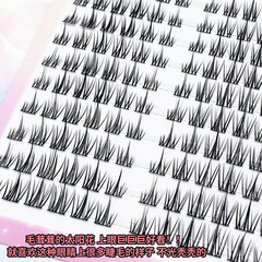 10排大容量懶人三部曲太陽花假睫毛自然漫畫小惡魔單簇分段式睫毛