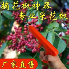 ժ����������������ʽ�r���O������ܿ���@ˇ���๦�܈@�֌���