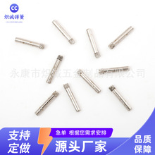 304PNSANλNA^LNᔲP䓝LNS