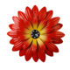 Cross-border Hot Sale Garden Entrance Wall Hanging Outdoor Iron Daisy Creative Home Wall Decoration Sunflower Decoration