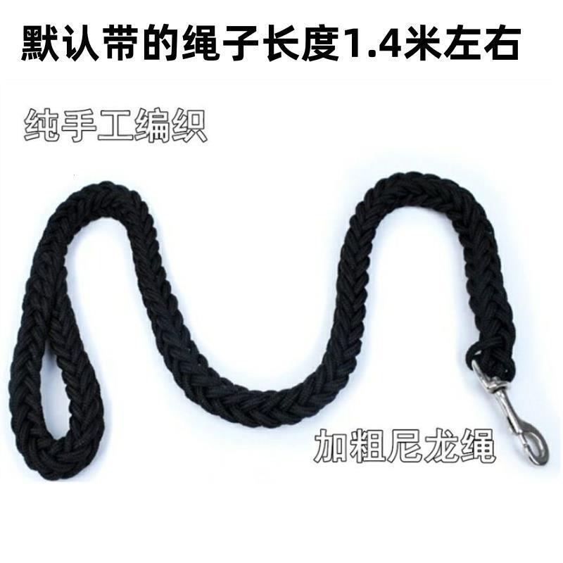 边牧专用牵引绳夜行灯遛狗灯胸背带中大型马犬杜宾德牧晚上发光灯|undefined